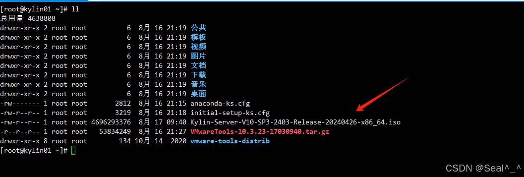 在银河麒麟高级服务器操作系统V10中使用ISO镜像作为本地源